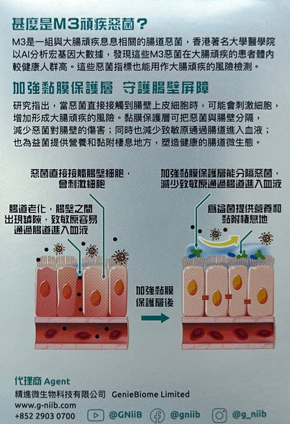 G-NiiB - M3XTRA PRO 微生態護腸專業配方益生菌 28包 / 盒